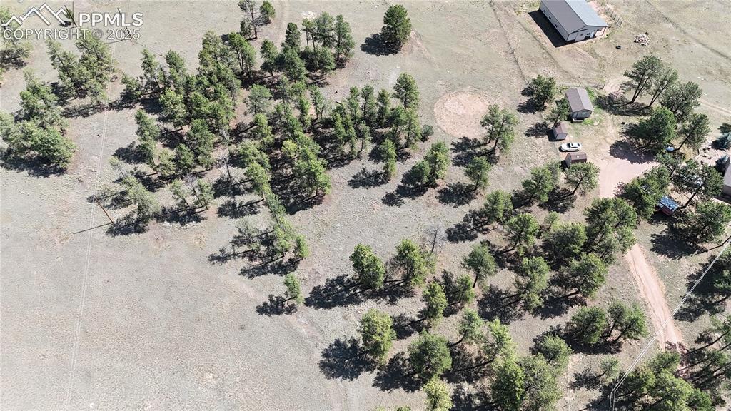 431 High Chateau Road Florissant CO 80816