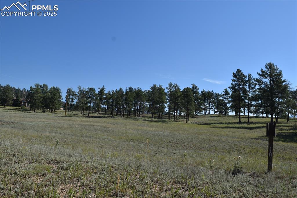 431 High Chateau Road Florissant CO 80816