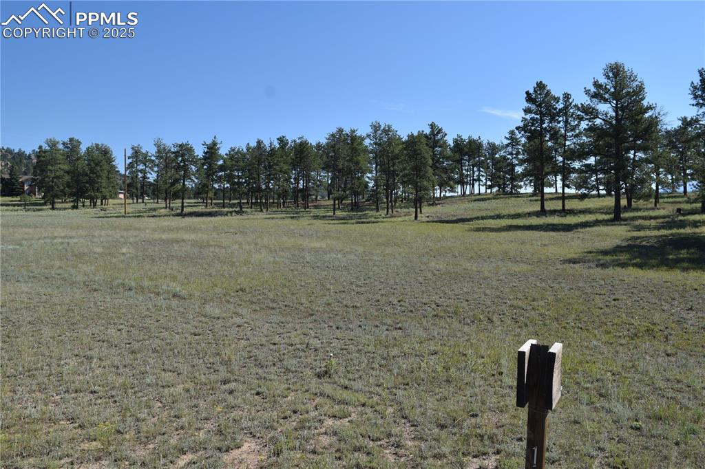 431 High Chateau Road Florissant CO 80816
