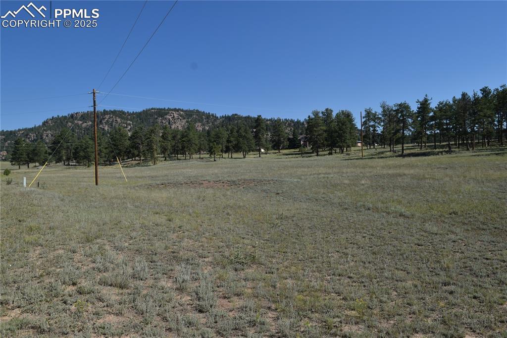 431 High Chateau Road Florissant CO 80816