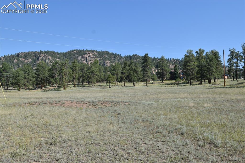 431 High Chateau Road Florissant CO 80816