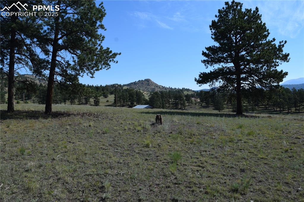 431 High Chateau Road Florissant CO 80816