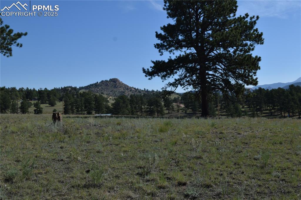 431 High Chateau Road Florissant CO 80816