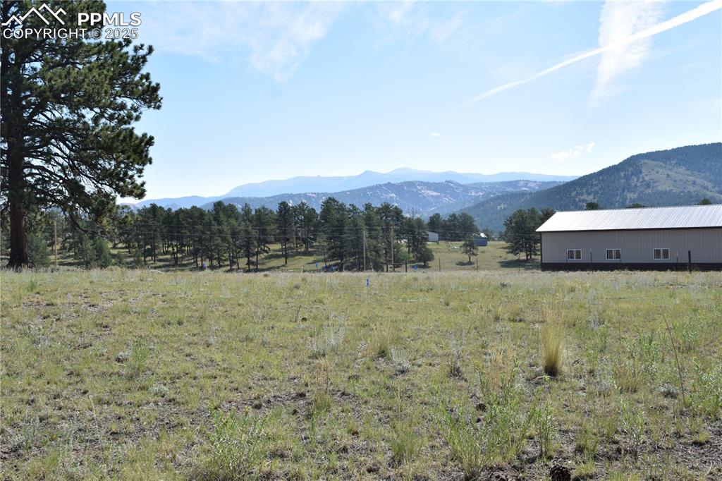 431 High Chateau Road Florissant CO 80816
