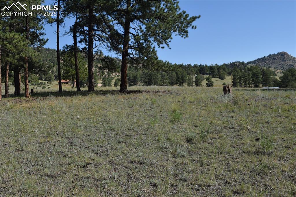 431 High Chateau Road Florissant CO 80816