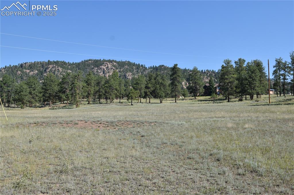 431 High Chateau Road Florissant CO 80816
