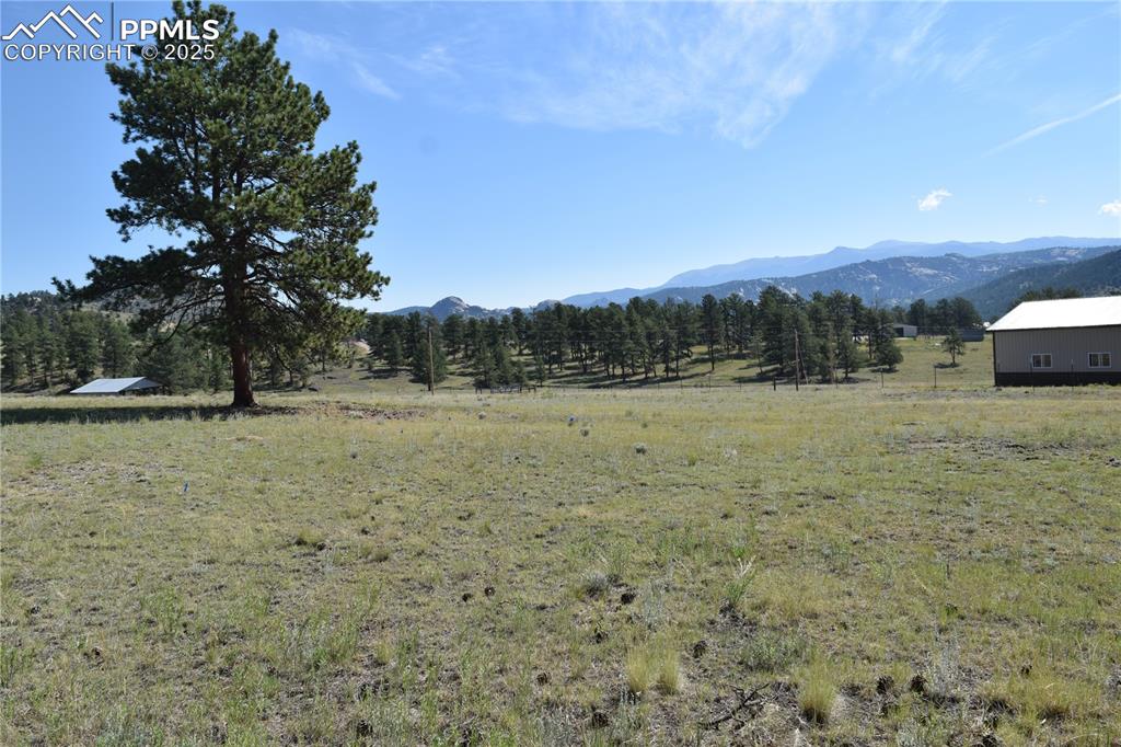 431 High Chateau Road Florissant CO 80816