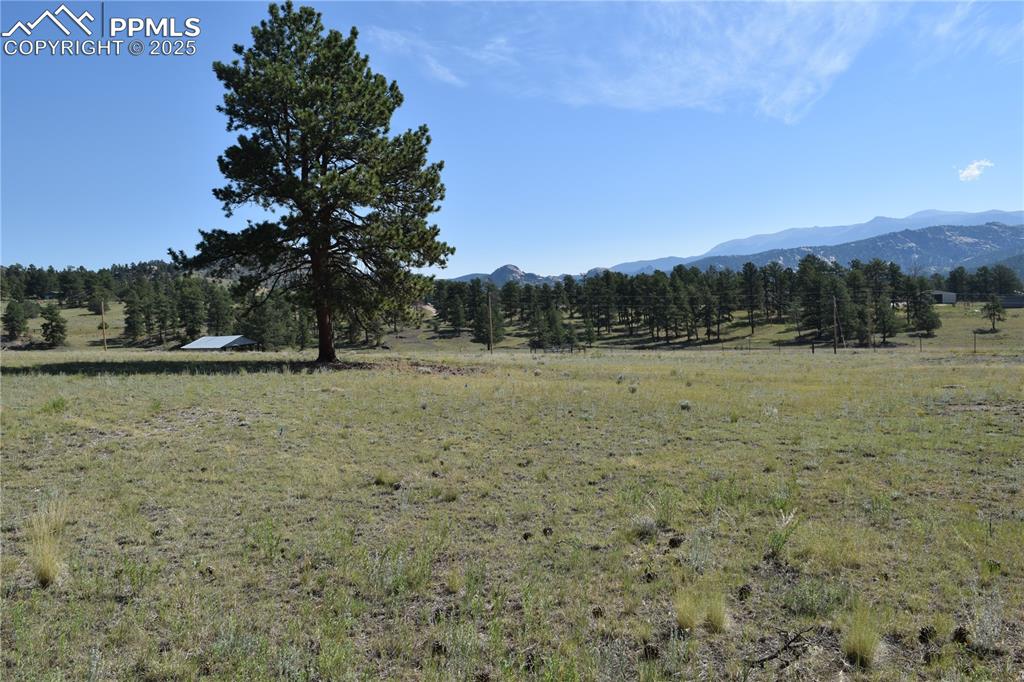 431 High Chateau Road Florissant CO 80816