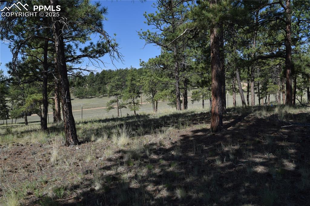 431 High Chateau Road Florissant CO 80816