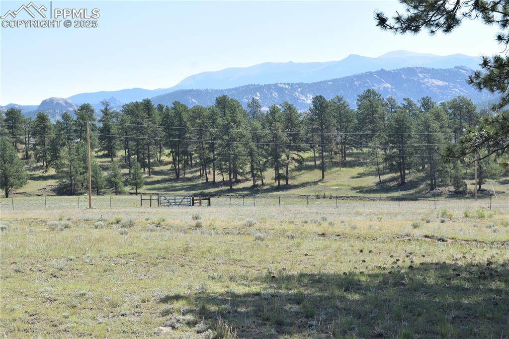 431 High Chateau Road Florissant CO 80816