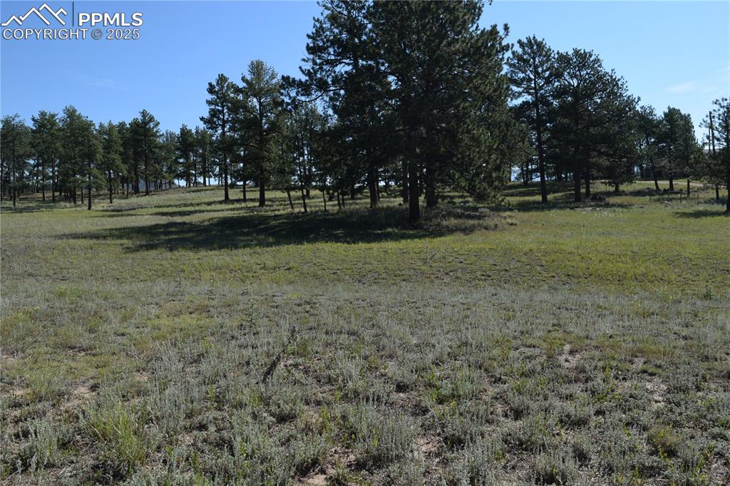 431 High Chateau Road Florissant CO 80816