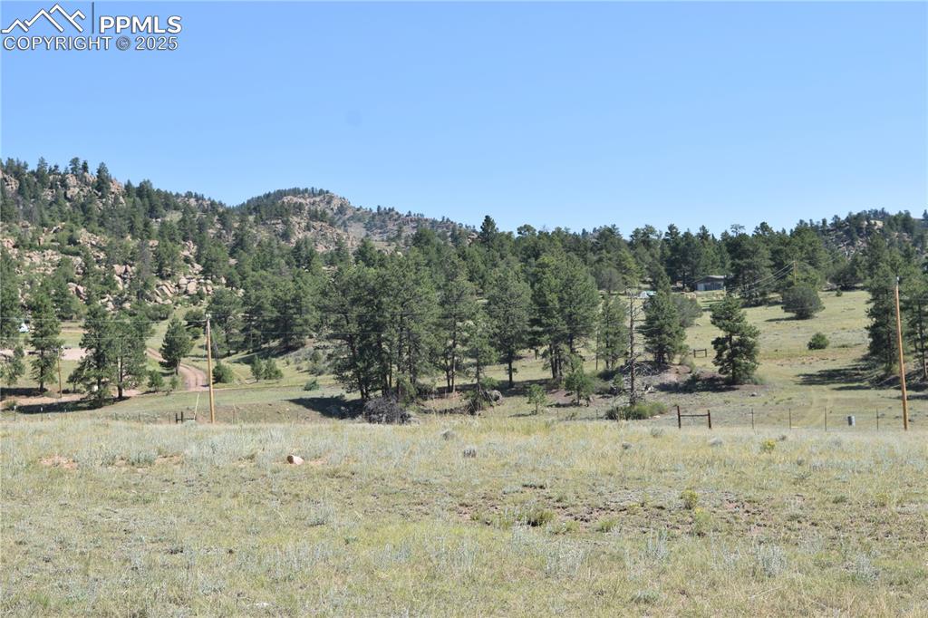 431 High Chateau Road Florissant CO 80816