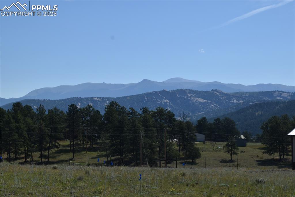 431 High Chateau Road Florissant CO 80816
