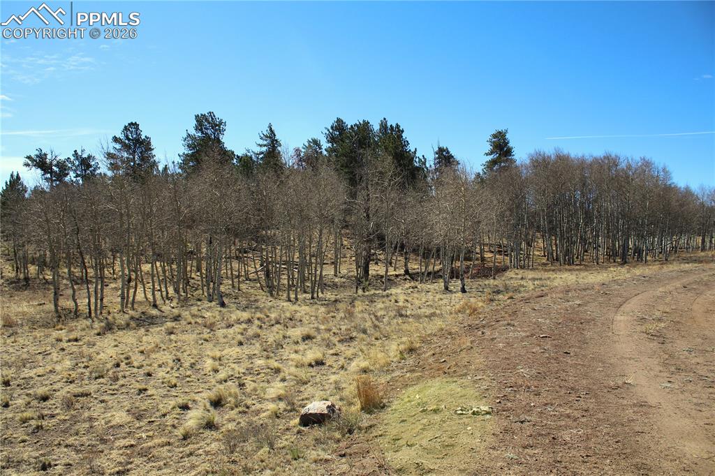 Ahlers Road Hartsel CO 80449