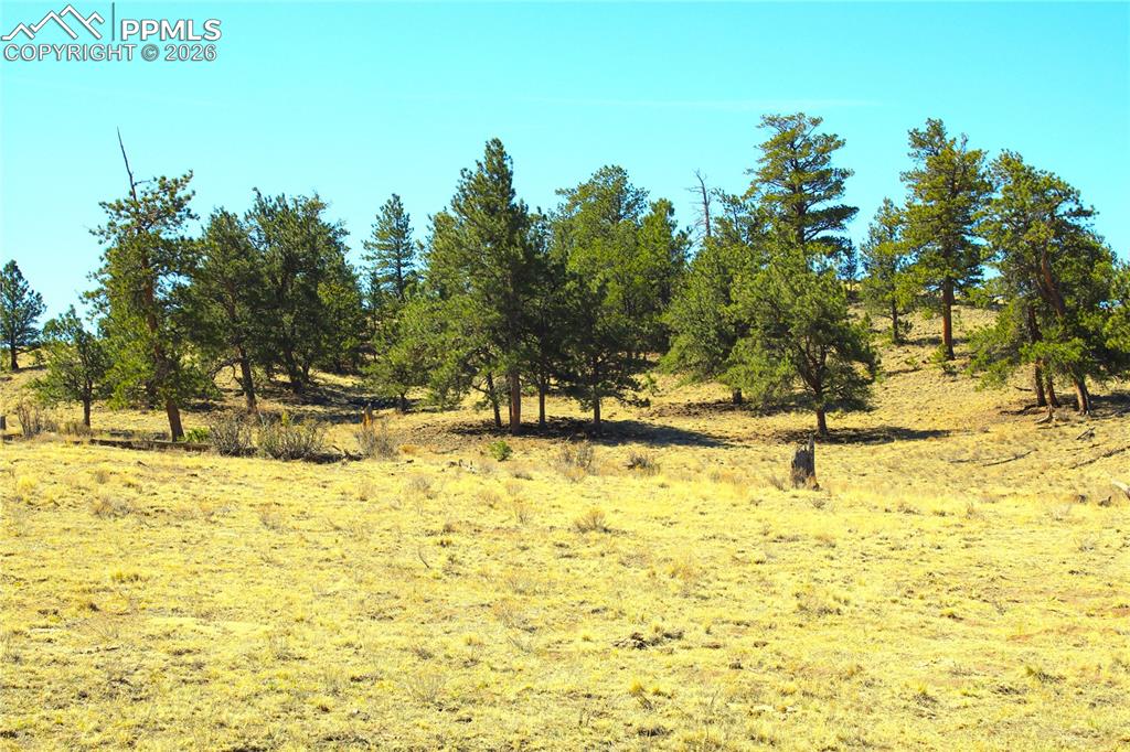 Ahlers Road Hartsel CO 80449