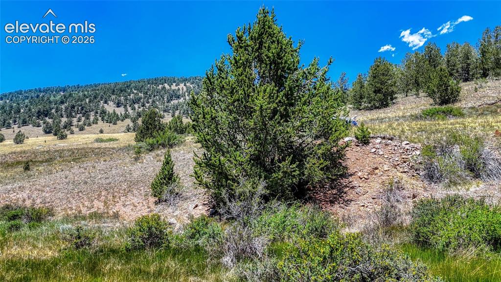 Highway 67 Cripple Creek CO 80813