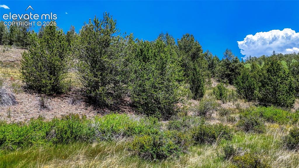 Highway 67 Cripple Creek CO 80813
