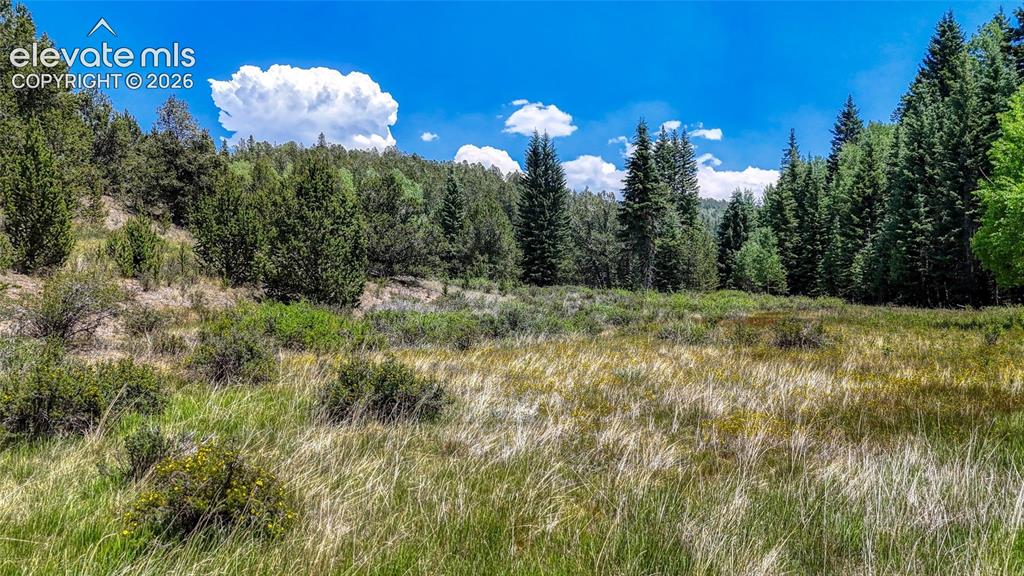 Highway 67 Cripple Creek CO 80813