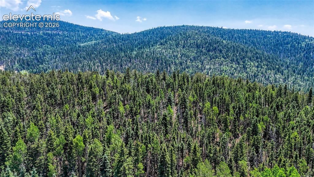 Highway 67 Cripple Creek CO 80813