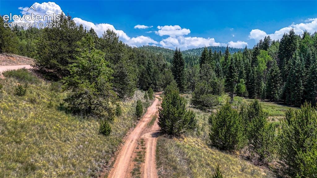 Highway 67 Cripple Creek CO 80813