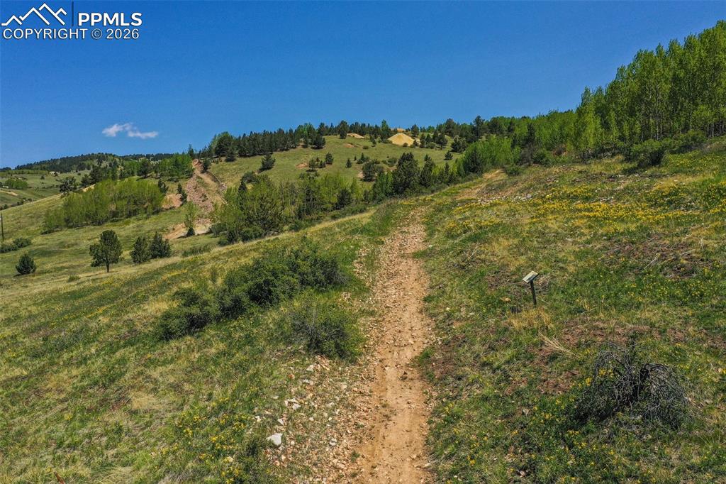 Unknown Cripple Creek CO 80813