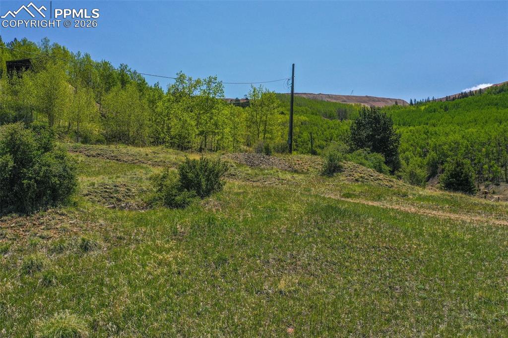 Unknown Cripple Creek CO 80813