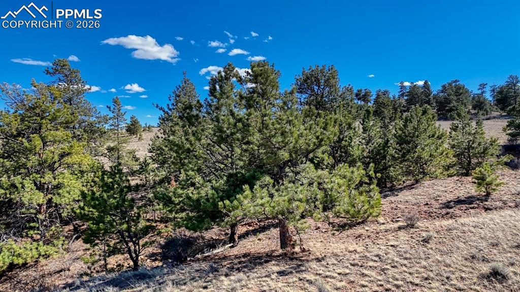 L5090L5097 Arikara Trail Hartsel CO 80449