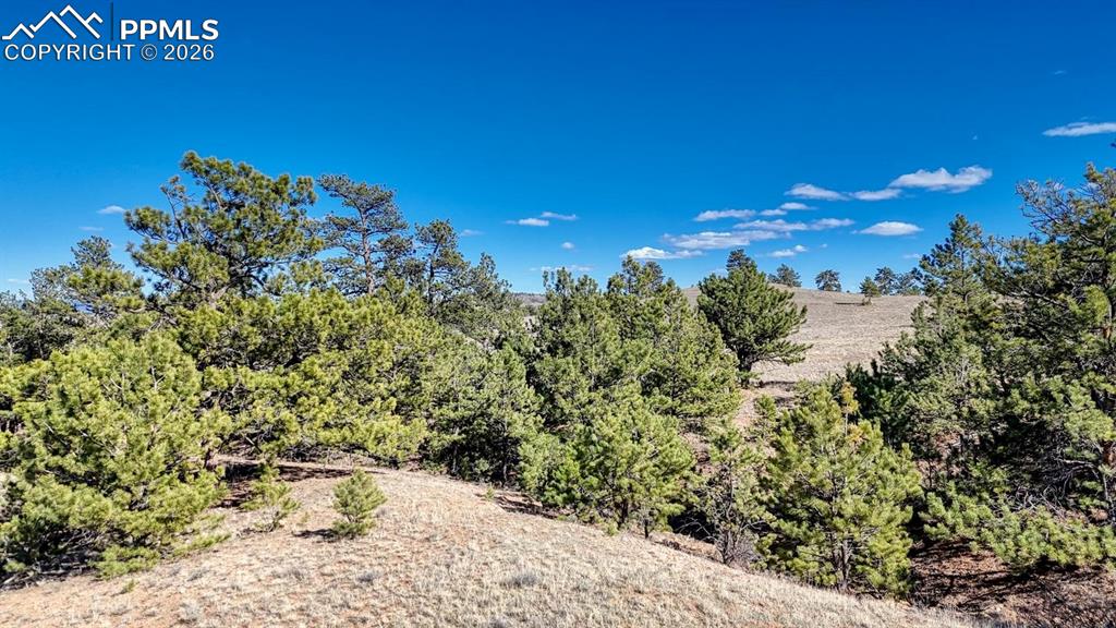 L5090L5097 Arikara Trail Hartsel CO 80449