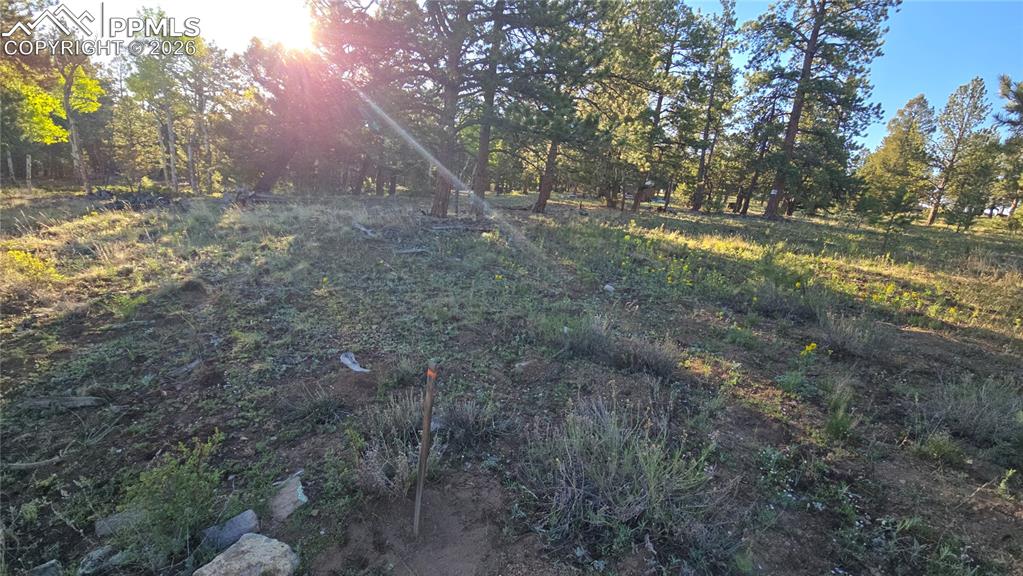 Chubb Court Buena Vista CO 81211