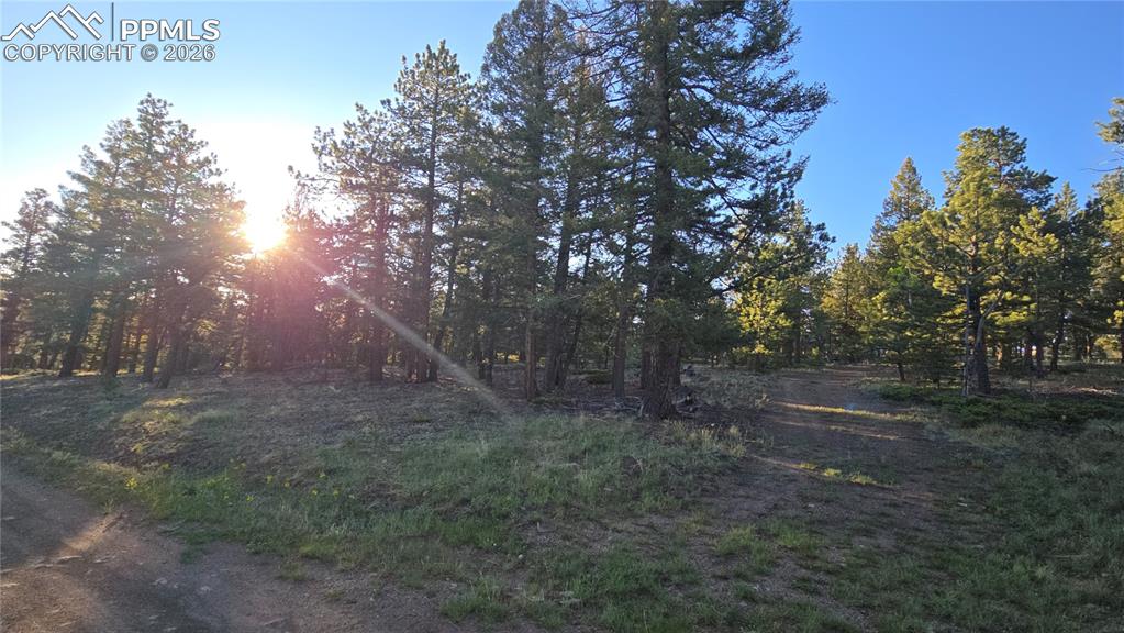 Chubb Court Buena Vista CO 81211