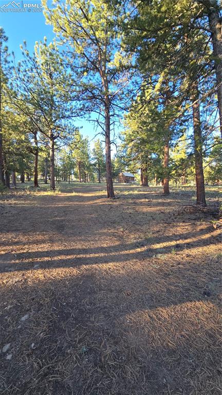 Chubb Court Buena Vista CO 81211