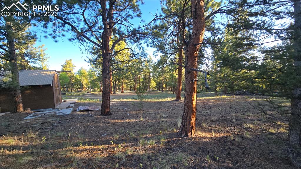 Chubb Court Buena Vista CO 81211