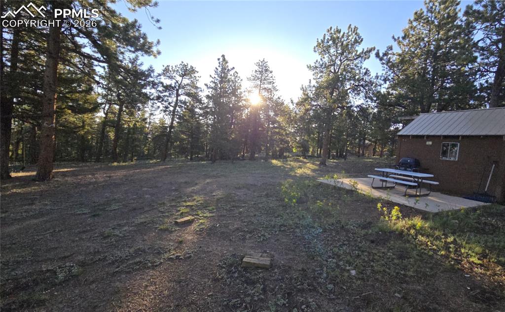 Chubb Court Buena Vista CO 81211