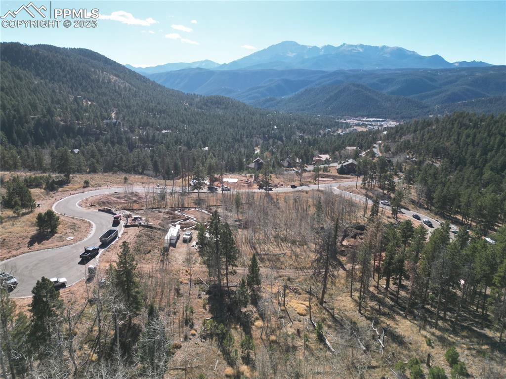 1360 Blue Haven Place Woodland Park CO 80863