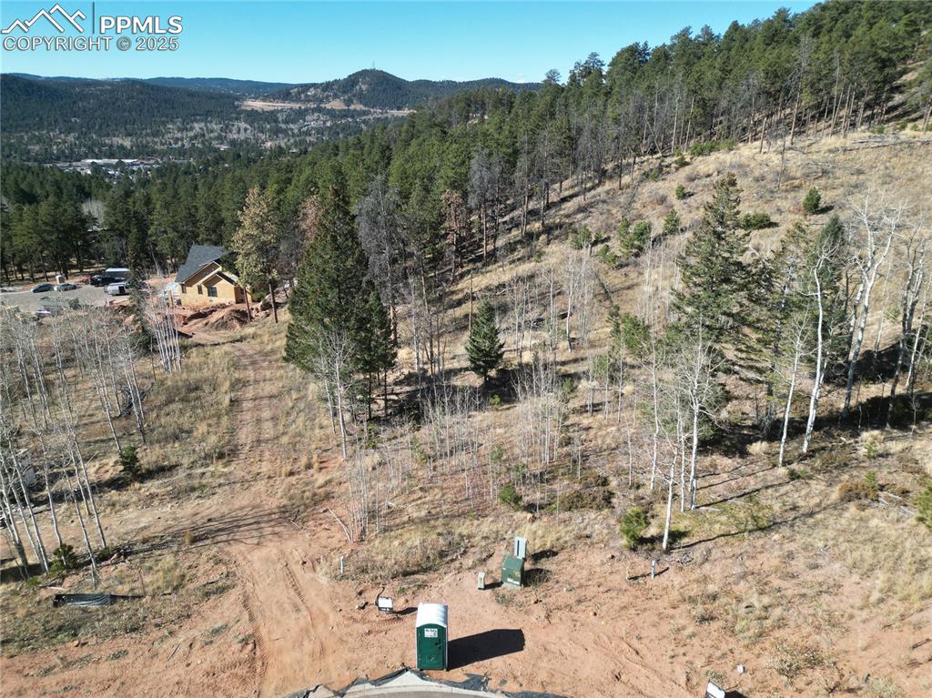 1360 Blue Haven Place Woodland Park CO 80863
