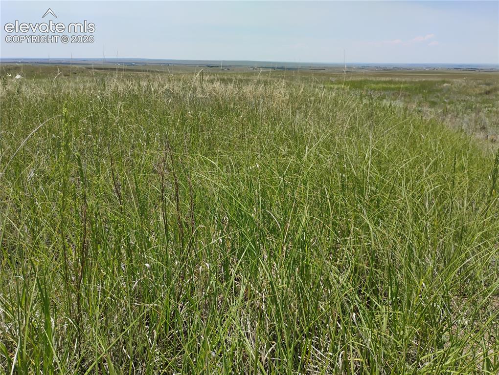 Parcel 8 Tallgrass View Calhan CO 80808
