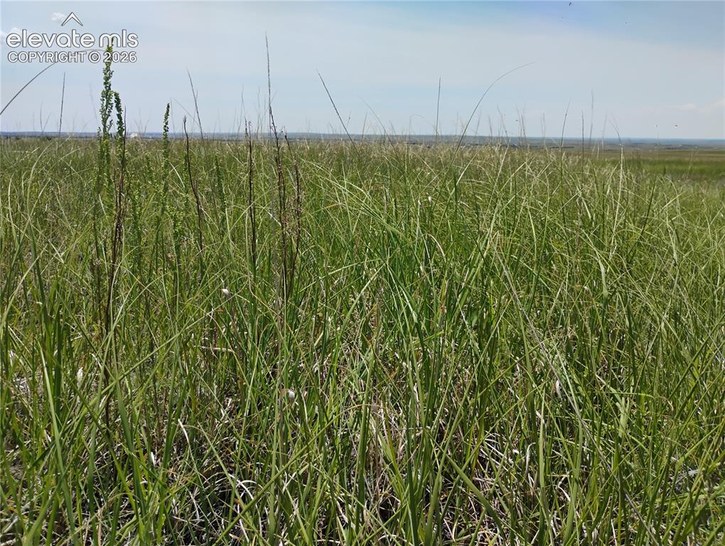 Parcel 8 Tallgrass View Calhan CO 80808