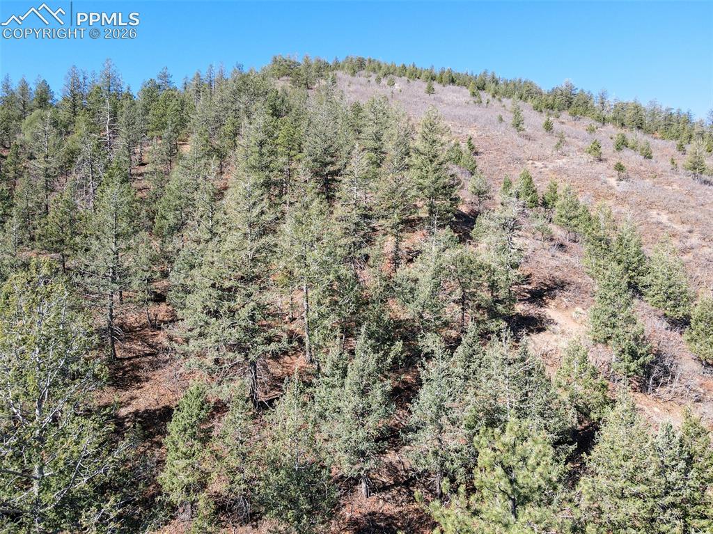 1296 Mica Lane Colorado Springs CO 80906
