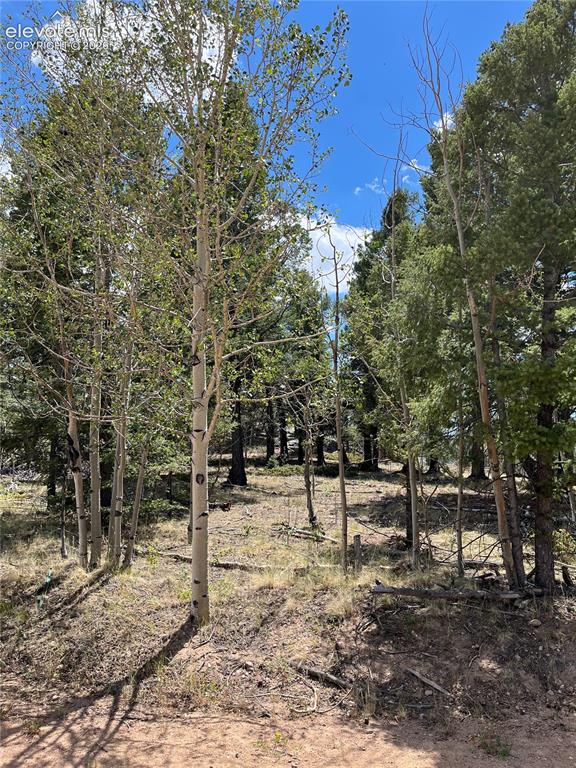 506 Castle Mountain Drive Guffey CO 80820