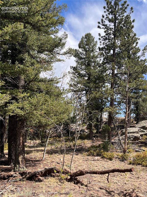 506 Castle Mountain Drive Guffey CO 80820