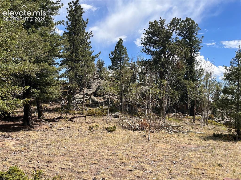 506 Castle Mountain Drive Guffey CO 80820