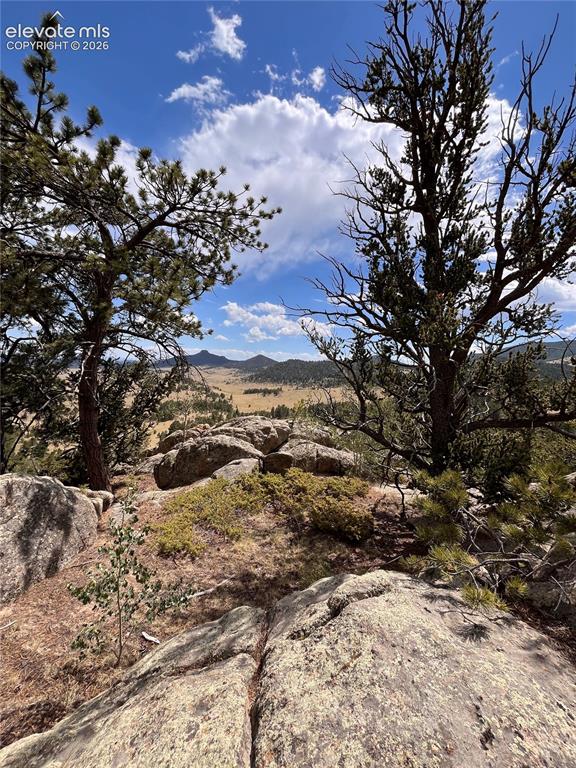 506 Castle Mountain Drive Guffey CO 80820