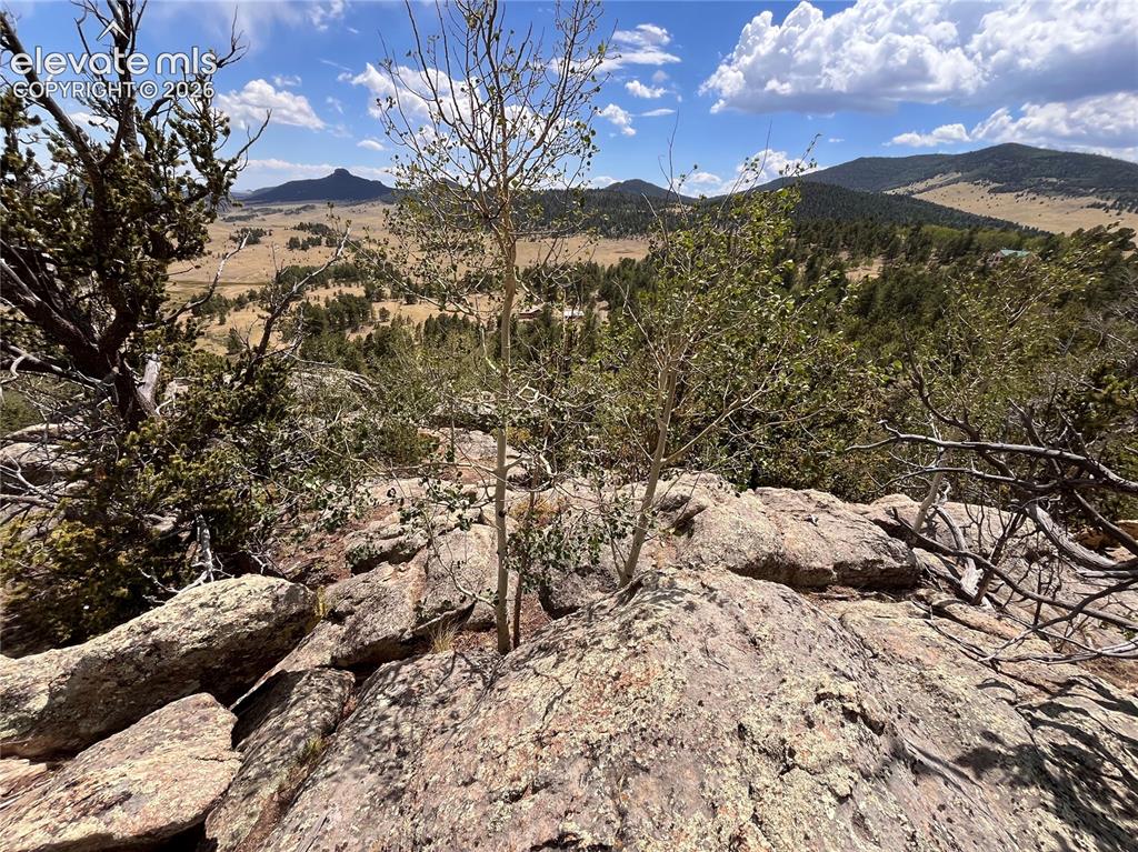 506 Castle Mountain Drive Guffey CO 80820