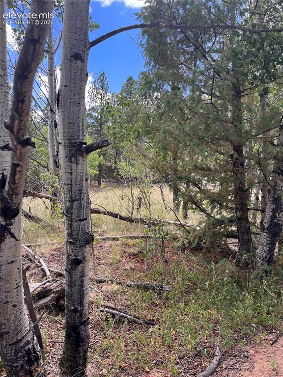 506 Castle Mountain Drive Guffey CO 80820