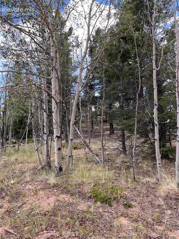 506 Castle Mountain Drive Guffey CO 80820