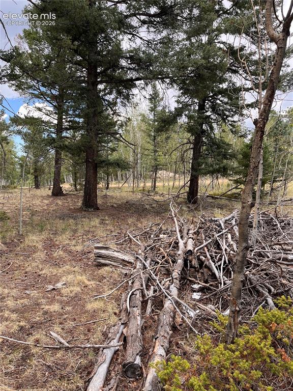 506 Castle Mountain Drive Guffey CO 80820