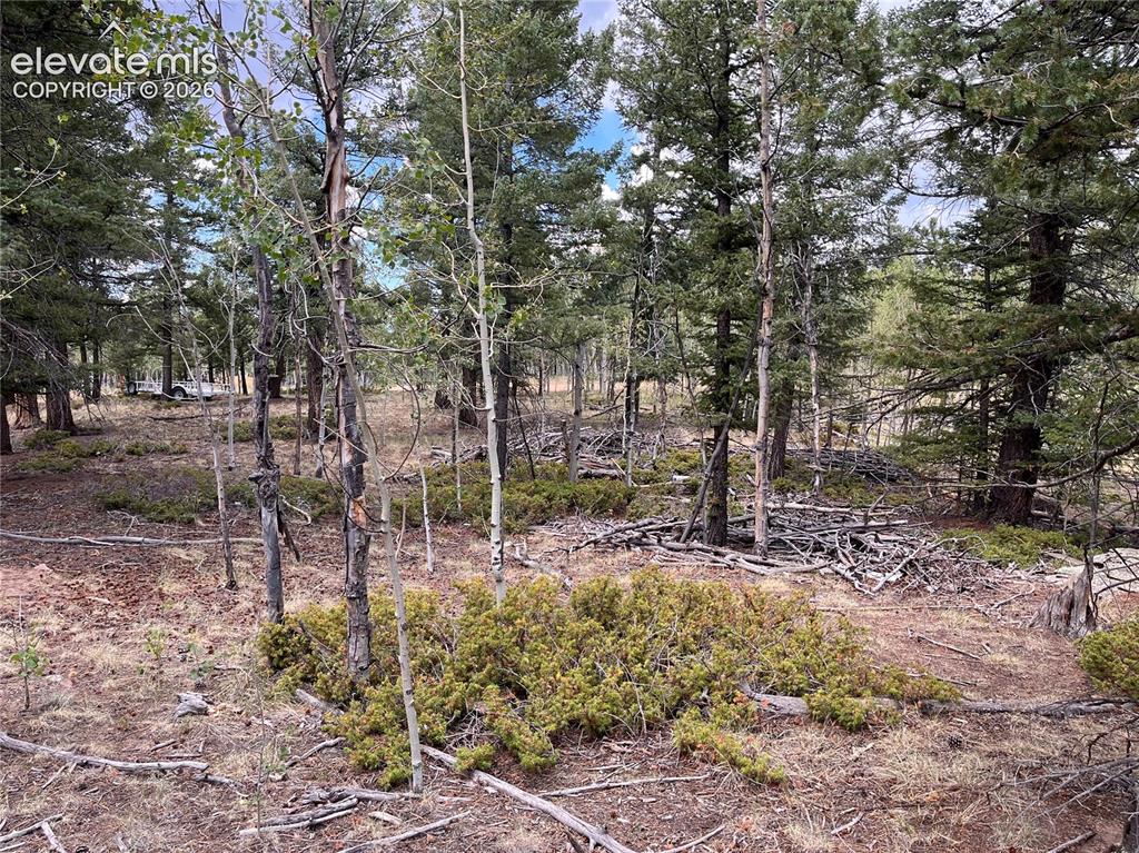 506 Castle Mountain Drive Guffey CO 80820