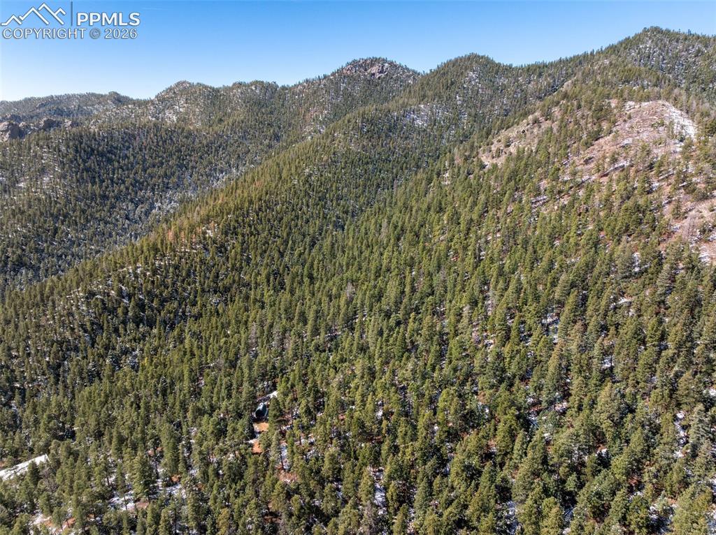 Little Turkey Creek Road Colorado Springs CO 80926
