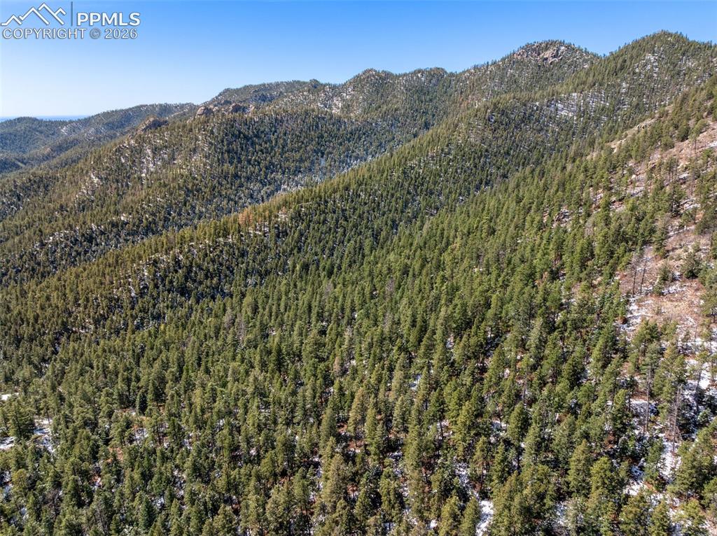 Little Turkey Creek Road Colorado Springs CO 80926