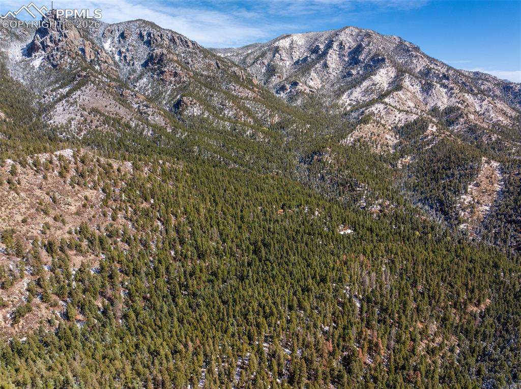 Little Turkey Creek Road Colorado Springs CO 80926